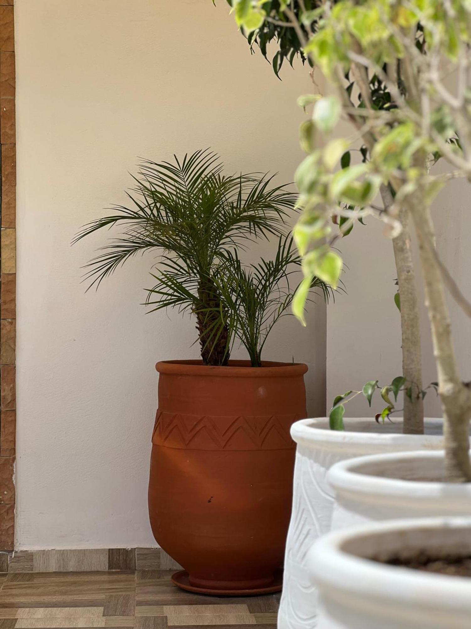 Riad Safia Rabat Luaran gambar